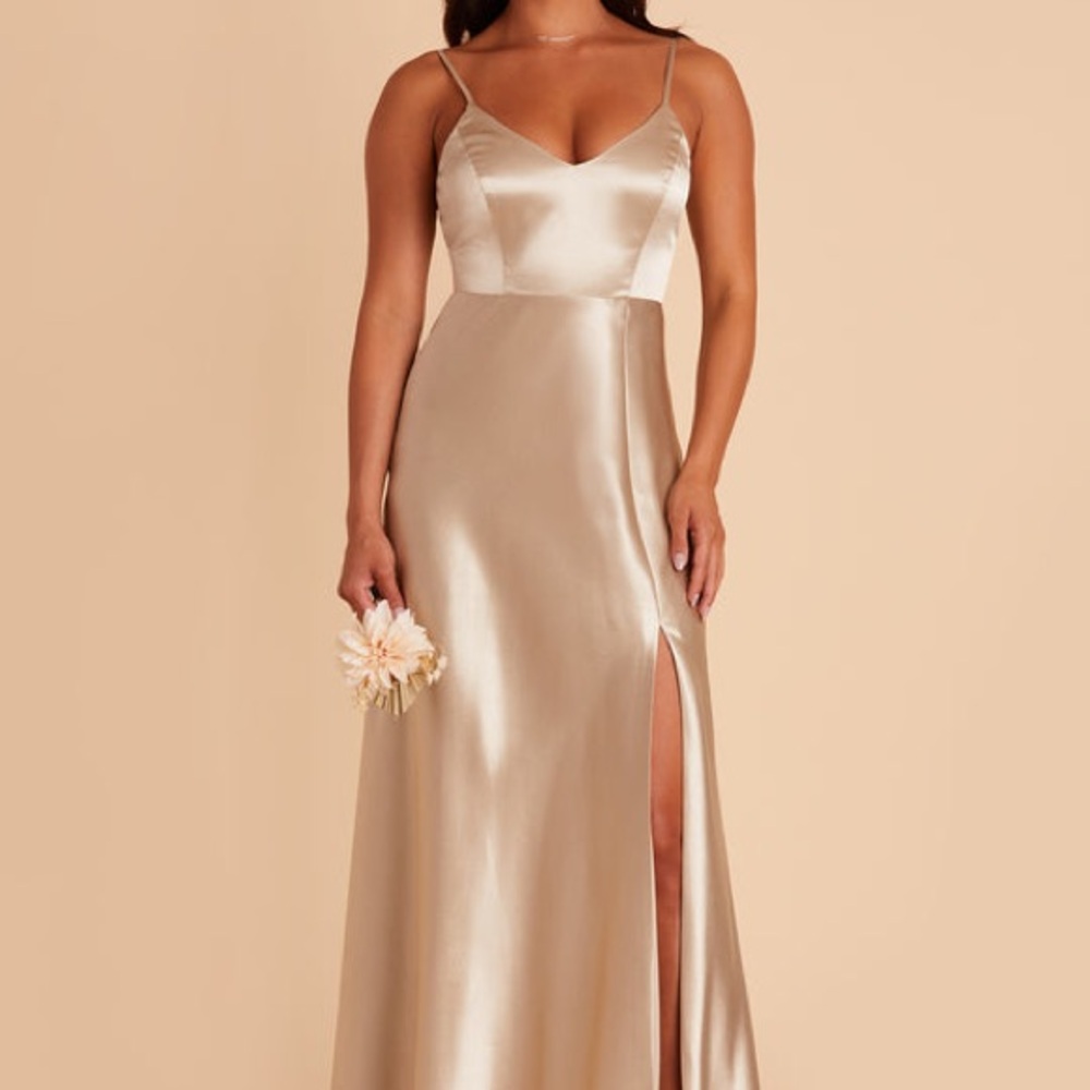 Birdy Grey Jay Dress Shiny Satin Neutral Champagne (UNALTERED)